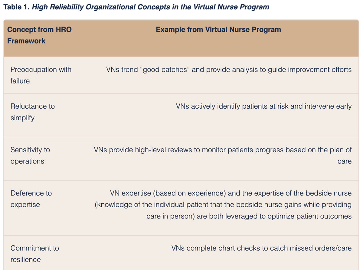 virtual-nurse-program-graphic